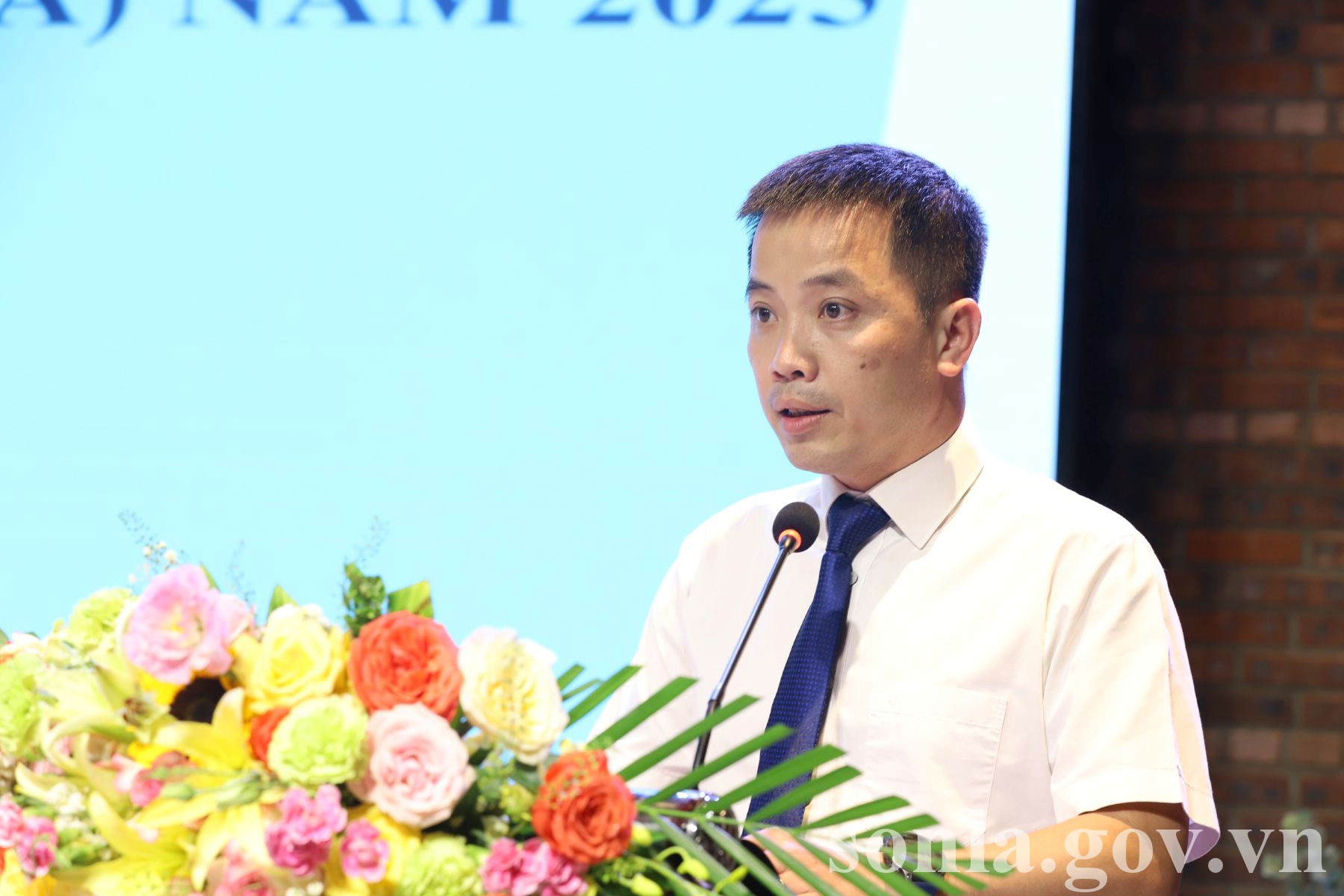 anh tin bai